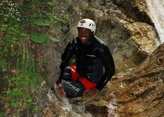 X Point 코바리드