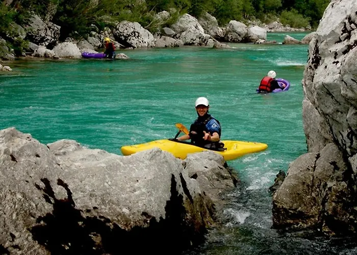 X Point * 코바리드