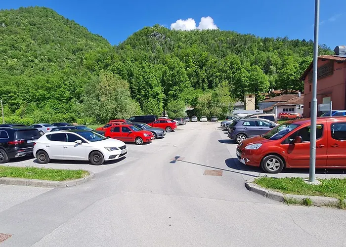 X Point * 코바리드